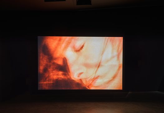 The Last of England (Derek Jarman, 1987) (© Studio Hans Wilschut)