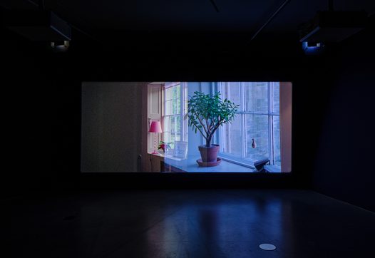 Phantoms (Apichatpong Weerasethakul, 2025) (© Studio Hans Wilschut)