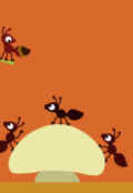 2 ant
