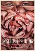 poster Rosebush Pruning (Karim Ainouz, IT/DE/ES/GB 2026)