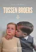 poster Tussen broers (Tom Fassaert, NL/BE 2026)
