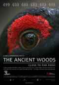 Poster the ancient woods eye filmmuseum