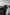 Keep an Eye 2025 (Blok C): The Birds Shall Return