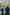 still Strange Creatures (Cristobal Leon & Cristina Sitja Rubio, CL 2019)