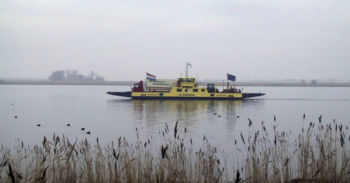 Weemoed & wildernis — Eye, Amsterdam