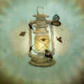 06 phototaxis