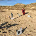 7210 varda by agnes parlons cinema av oiseaux noirmoutier