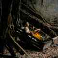 Cinem Asia 2026 Lost Land Akio Fujimoto JP FR MY DE 2025 3