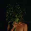 IDFA 2023 Smoke Sauna Sisterhood 3