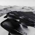 IDFA 2026 Nature 1