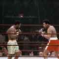 IDFA 2026 The Fight 3