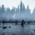 A scene from the revenant