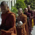 Bffe the venerable w 3