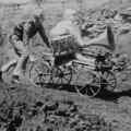 Fando cart
