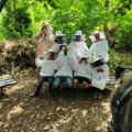 Schooltuin de still 01