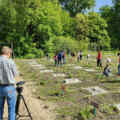Schooltuin de still 02