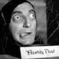 still Young Frankenstein (Mel Brooks, US 1974)