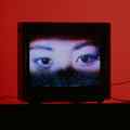 still A.K. (Chris Marker, FR 1985)