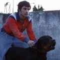 still Amores perros (Alejandro Gonzáles Iñárritu, MX 2000)