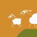 still Animanimals: Sheep (Julia Ocker, DE 2018)