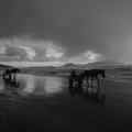 still Below the Clouds (Gianfranco Rosi, IT 2025)