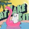 still Cat Lake City (Antje Heyn, DE 2019)