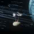 still Dandelion's Odyssey (Momoko Seto, FR/BE 2025)
