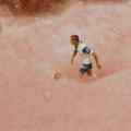 still Diamantino (Gabriel Abrantes, PT 2018)