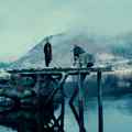 still Fjord (Cristian Mungiu, RO/FR/NO/DK/FI 2026)
