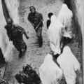 still La battaglia di Algeri (The Battle of Algiers) (Gillo Pontecorvo, IT/DZ 1965)