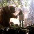 still Labyrinth (Jim Henson, US 1986)