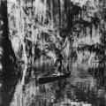 still Louisiana Story (Robert Flaherty, US 1948)