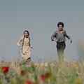 still Palestine 36 (Annemarie Jacir, PS/GB/FR/DK/NO 2025)