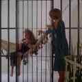 still The Mafu Cage (Karen Arthur, US 1977)