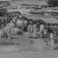 still Turang (Bachtiar Siagian, ID 1958)