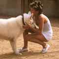 still White Dog (Samuel Fuller, US 1982)
