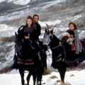 still Willow (Ron Howard, US 1988)