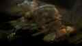 780 2048x1152
