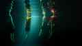 Cinedans 2026 Shorts 2 Crossing Thresholds