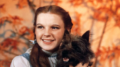 still The Wizard of Oz (Victor Fleming, US 1939)