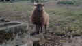 Keep an Eye 2023 Astrid van Nimwegen Arrested Time Fragilityof Being 10