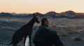 still Black Dog (Hu Guan, CN 2024)