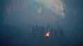 still Mare's Nest (Ben Rivers, GB/FR/CA 2025)