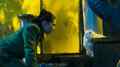 still Minoes (25th Anniversary) (Vincent Bal, NL 2001)