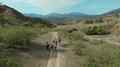 still Our Land (Nuestra tierra) (Lucrecia Martel, AR 2025)