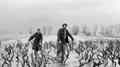 still Three (Aleksandar Petrovic, YU 1965)