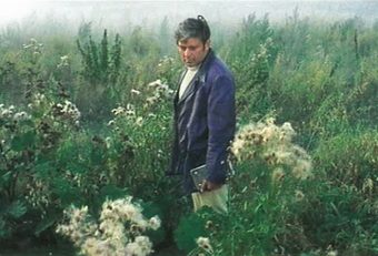 still from Solaris (Andrei Tarkovsky, SU 1972)