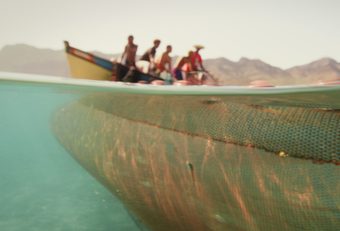 still from The Coriolis Effect (Petr Lom, NL/NO 2025)