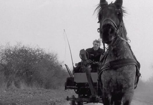 still uit The Turin Horse (Béla Tarr, HU/FR/CH/DE 2011)