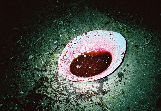 still from Sud Vikal (Apichatpong Weerasethakul, TH/FR 2008)